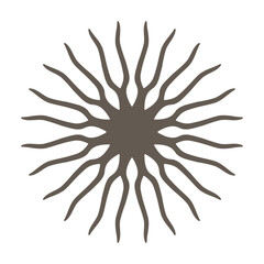 Rounded Circular Brown Tree Plant Roots