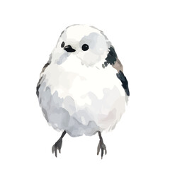 Watercolor-style long-tailed tit illustration／シマエナガ © 73