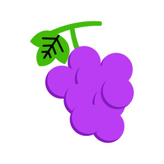 Purple Grape Vector Illustration