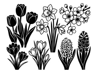 vector illustration of spring flower collection