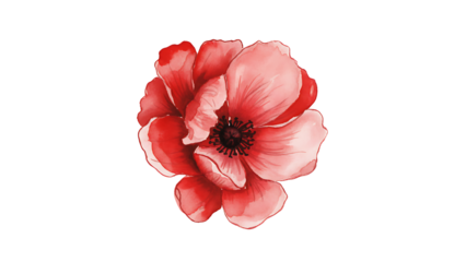 flower painting watercolor