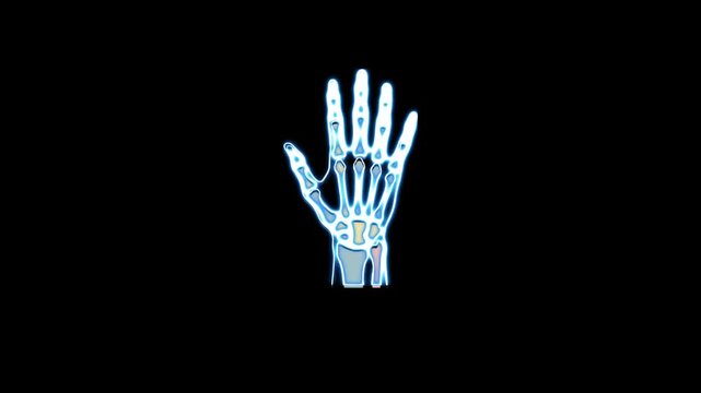 Neon blue line 4k animation of human hand bone anatomy glowing, flickering, and illuminating representing an X-ray scanning process on a black background for medical technology and biometric concepts