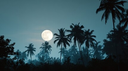 Full Moon Rising Behind Palm Trees at Nighttime