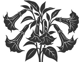 Black and white vector illustration of  trumpet flowers in full bloom 