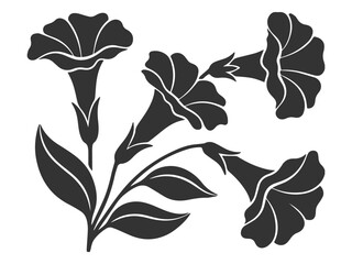 Black and white vector illustration of  trumpet flowers in full bloom 