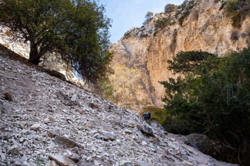 Hikers navigating the challenging terrain of avakas gorge, cyprus. Adventure travel in a stunning natural canyon landscape