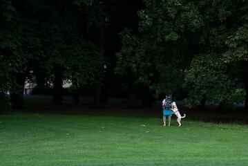 Person interacting with a happy white dog, jumping and playing on green grass in a public park with trees
