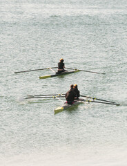 Athletes sculling on water engaging in competition.