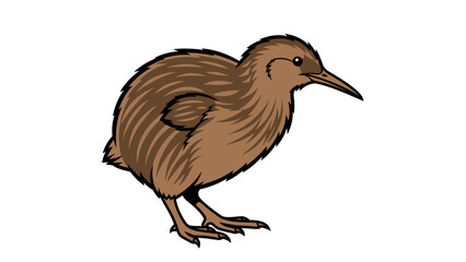 cartoon chicken isolated on white