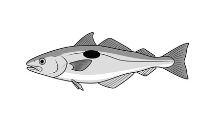 fish isolated in white background vector
