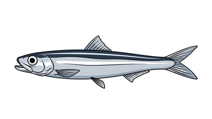 fish isolated in white background vector