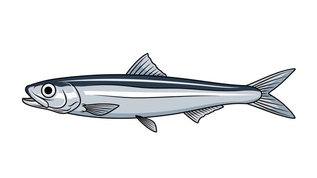 fish isolated in white background vector