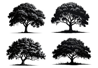 Black tree silhouette set, minimalist and artistic, isolated on white.