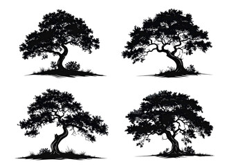 Graphic black and white tree icons, minimal style, crisp edges on white.