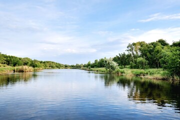 Calm River Flowing Through Lush Green Forest Under Blue Sky