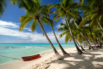 idyllic tropical beach with palm trees and a colorful hammock