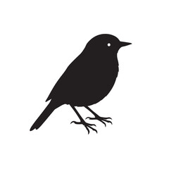 Yellow Warbler &ndash; Bright Yellow Songbird Wildlife Illustration