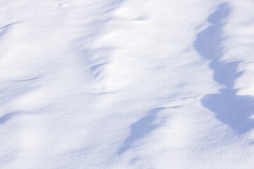 Obraz premium Abstract winter background with smooth snow surface shaped by wind. soft natural light creates gentle shadows and flowing textures on fresh white snow
