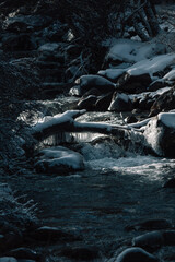 Fototapeta premium A fallen frozen branch over a river. Winter river landscape.