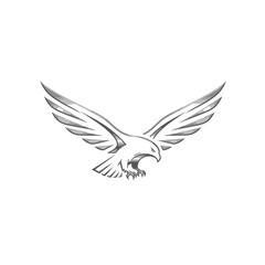 Obraz premium A detailed sketch of a majestic eagle with outstretched wings in mid-flight.