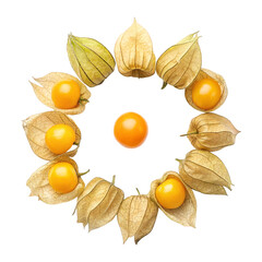 Circular Arrangement of Physalis Fruits with Exposed Orange Berries Isolated on White Background