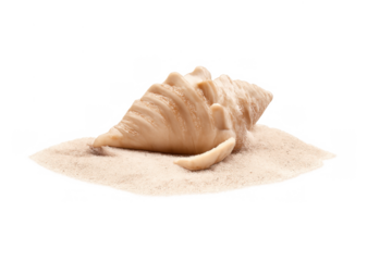 Seashell resting on a small mound of sand, representing summer vacation, beach travel, and the beauty of marine life. Transparent background