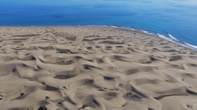Cinematic 4K Aerial of the Maspalomas Special Natural Reserve Dunes at Sunrise, showcasing the World Biosphere Reserve and Volcanic Coastline, Gran Canaria, Spain