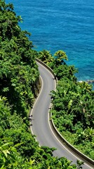 Scenic winding coastal road through lush tropical canopy overlooking vibrant blue ocean