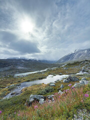 Norwegian mountain landscape showing wild nature and flowing river