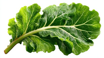 Fresh green leaf with droplets of water on a white background captured in a kitchen setting during daytime