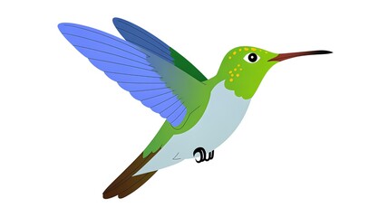 Obraz premium Vibrant hummingbird in mid flight with colorful wings spread