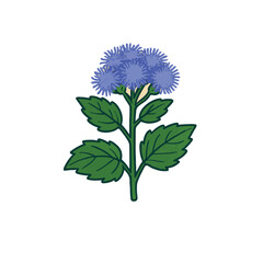 Blue Mistflower &ndash; Vibrant Wildflower and Pollinator Plant