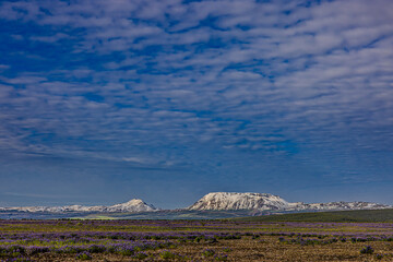 Wundersch&ouml;ne wilde vulkanische Naturlandschaft in Nordisland, Europa