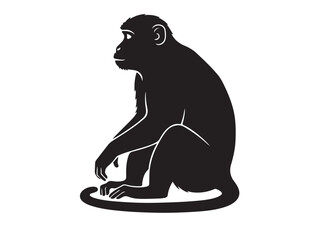 Monkey in silhouette white background.