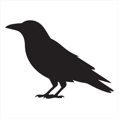 Fototapeta premium Crow Vector 
