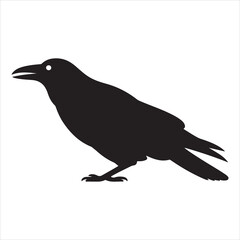Fototapeta premium Crow Vector 
