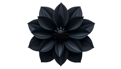An overhead, realistic, dark grey, layered flower with a black background