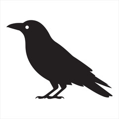Obraz premium Crow Vector 