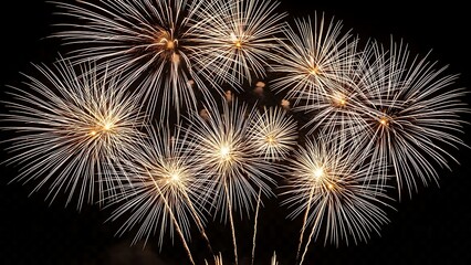 Fototapeta premium Illuminating night sky with fireworks