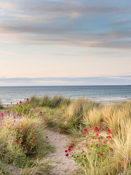 Beach view