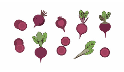 Minimal flat spinach leaf vector set for healthy food and agriculture concept isolated on white