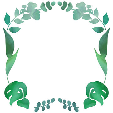 植物のフレーム