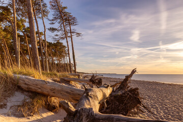 Weststrand auf dem Dar&szlig; in der N&auml;he von Ahrenshoop an der Ostsee