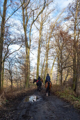 People horseback riding along muddy forest path in late autumn