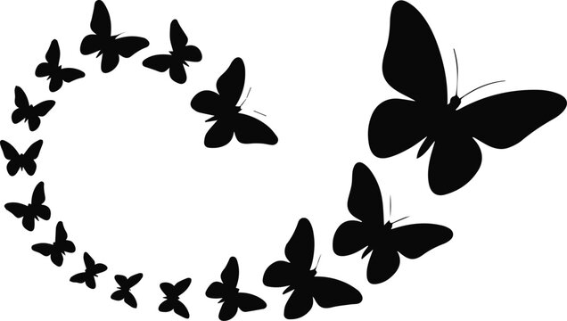 butterfly ascending swarm progressive size vector composition