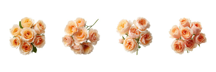 Peach Roses Bouquet Set. Elegant Floral Arrangement Collection Isolated On Transparent Background