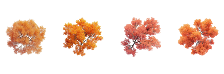 Autumn Foliage Tree Tops Set. Seasonal Nature And Botanical Design Collection Isolated On Transparent Background