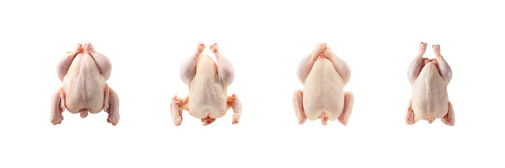Whole Raw Chickens Set. Culinary Preparation And Cooking Ingredients Collection Isolated On Transparent Background