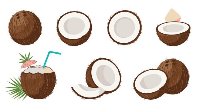 Multiple views of a coconut fruit shown whole, in halves, in slices, and as a refreshing tropical drink with a straw and umbrella.