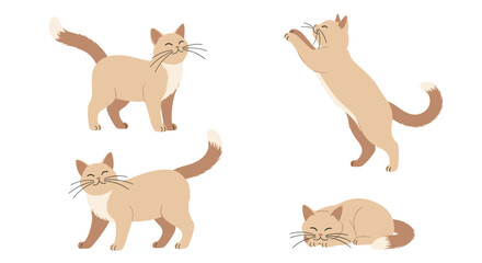 Fototapeta premium Set of light brown cat illustrations depicts the animal in various active poses like walking and stretching for pet owners.
